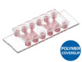 80231-120 µ-Slide Tissue Engineering Untreated, Bulk Box 120: #1.5 polymer coverslip, hydrophobic, sterilized, 8 per tray, 15 trays ( 120 pcs/pkg )